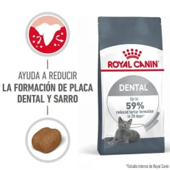 Royal Canin Adult Oral pienso para gatos