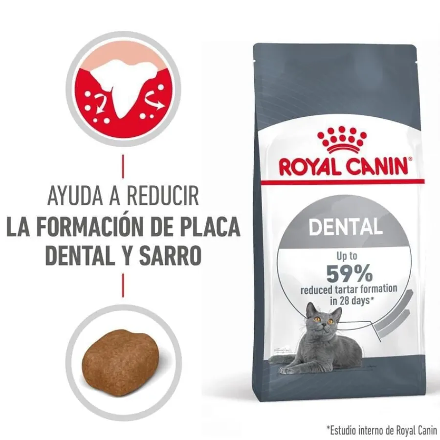 Royal Canin Adult Oral pienso para gatos