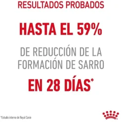 Royal Canin Adult Oral pienso para gatos