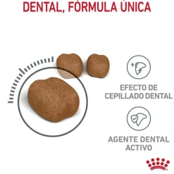 Royal Canin Adult Oral pienso para gatos