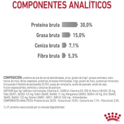 Royal Canin Adult Oral pienso para gatos