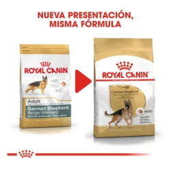 Royal Canin Adult Pastor Alemán pienso para perros Hot