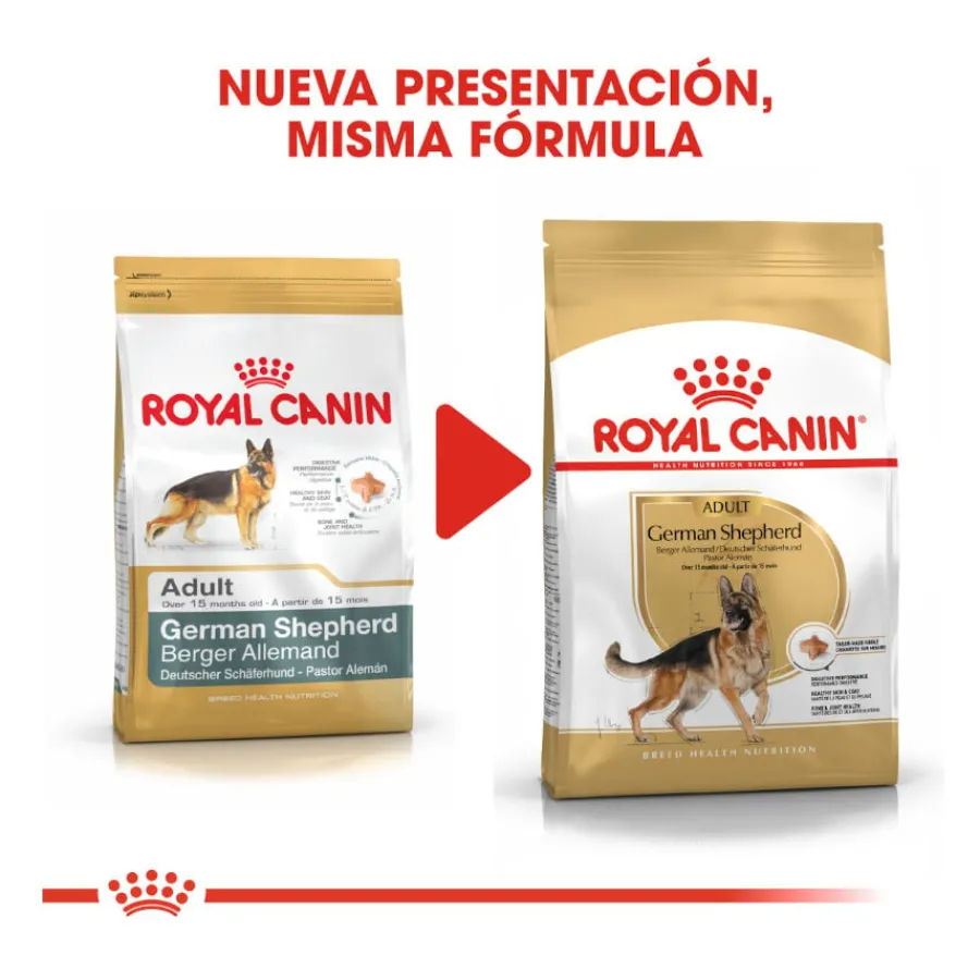 Royal Canin Adult Pastor Alemán pienso para perros Hot
