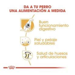 Royal Canin Adult Pastor Alemán pienso para perros Hot