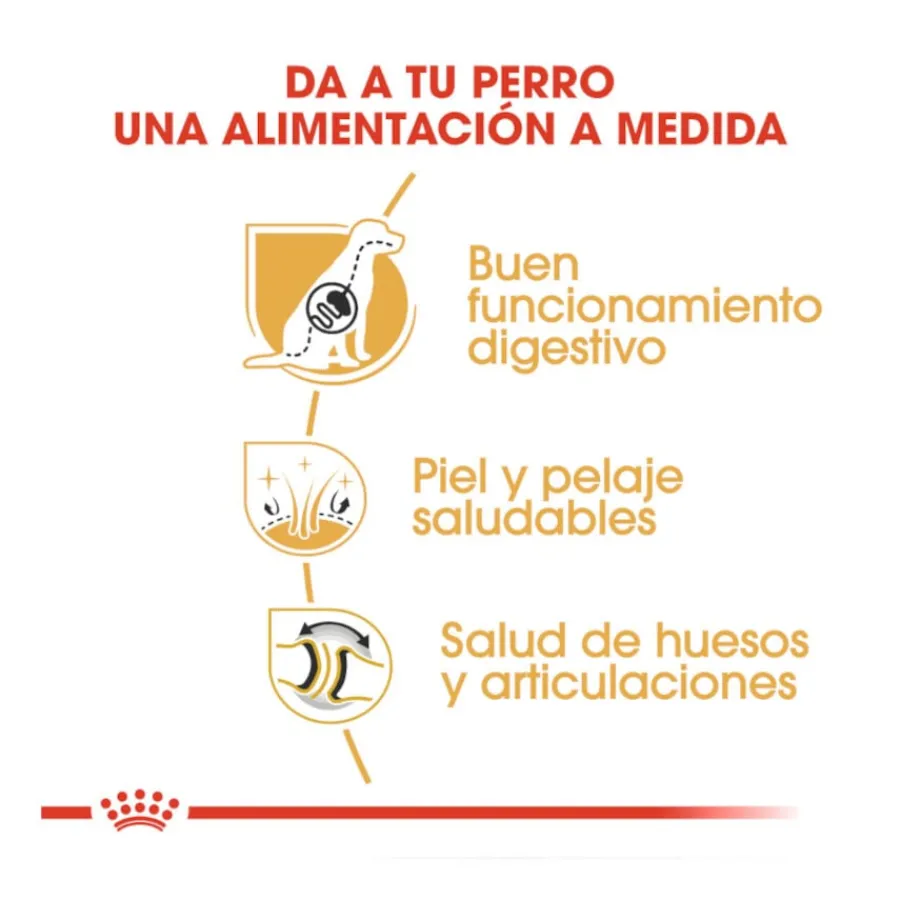 Royal Canin Adult Pastor Alemán pienso para perros Hot