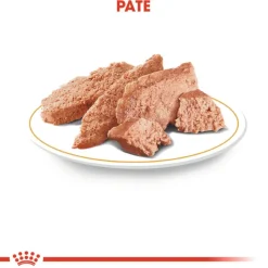 Royal Canin Adult Poodle Paté sobre para perros Online
