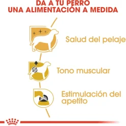 Royal Canin Adult Poodle Paté sobre para perros Online
