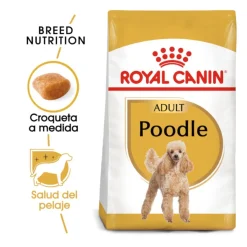 Royal Canin Adult Poodle pienso para perros Hot
