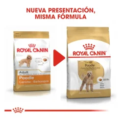 Royal Canin Adult Poodle pienso para perros Hot