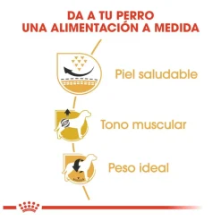 Royal Canin Adult Pug pienso para perros Discount