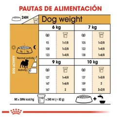 Royal Canin Adult Pug pienso para perros Discount