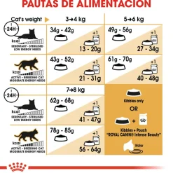 Royal Canin Adult Ragdoll pienso para gatos Hot