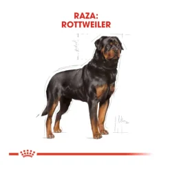 Royal Canin Adult Rottweiler pienso para perros New