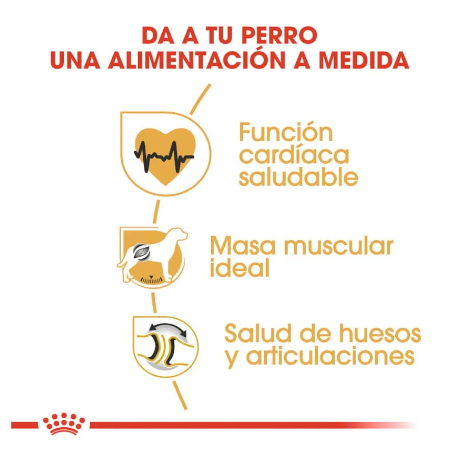 Royal Canin Adult Rottweiler pienso para perros New