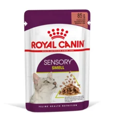 Royal Canin Adult Sensory Smell salsa sobre para gatos Clearance