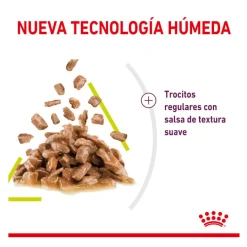 Royal Canin Adult Sensory Smell salsa sobre para gatos Clearance
