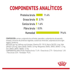 Royal Canin Adult Sensory Smell salsa sobre para gatos Clearance