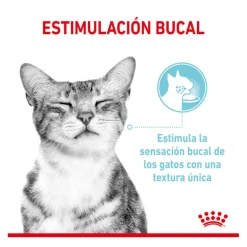 Royal Canin Adult Sensory Feel salsa sobre para gatos Best