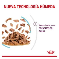 Royal Canin Adult Sensory Feel salsa sobre para gatos Best