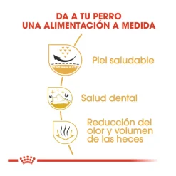 Royal Canin Adult Shih Tzu pienso para perros Sale