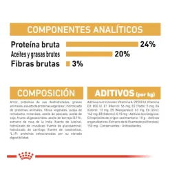 Royal Canin Adult Shih Tzu pienso para perros Sale