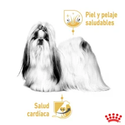 Royal Canin Adult Shih Tzu Paté sobre para perros Discount