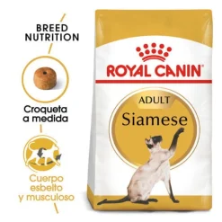 Royal Canin Adult Siamese pienso para gatos Discount