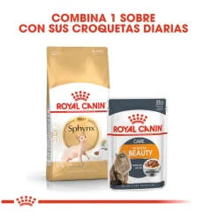 Royal Canin Adult Sphynx pienso para gatos Discount