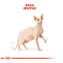 Royal Canin Adult Sphynx pienso para gatos Discount