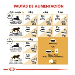 Royal Canin Adult Sphynx pienso para gatos Discount