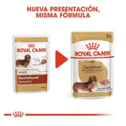 Royal Canin Adult Teckel paté en sobre para perros Discount