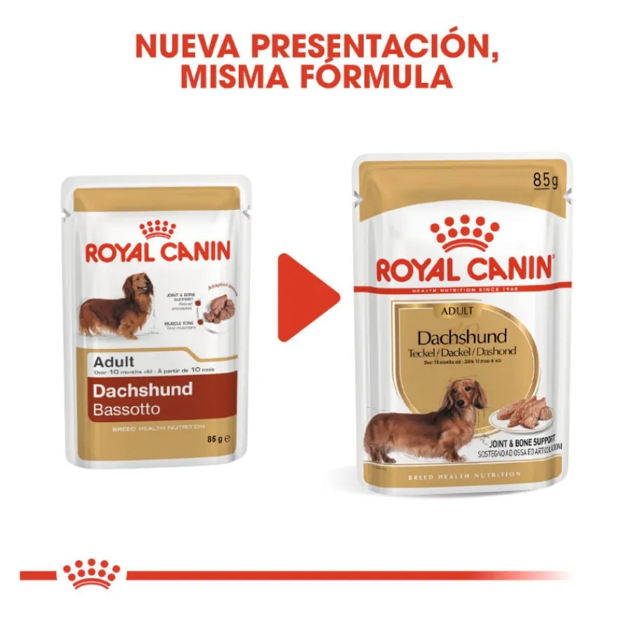 Royal Canin Adult Teckel paté en sobre para perros Discount