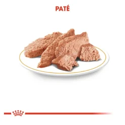 Royal Canin Adult Teckel paté en sobre para perros Discount