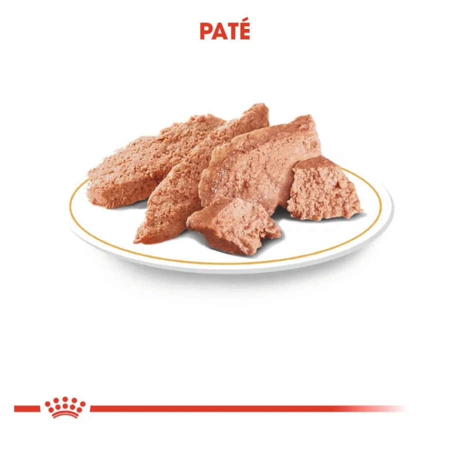 Royal Canin Adult Teckel paté en sobre para perros Discount