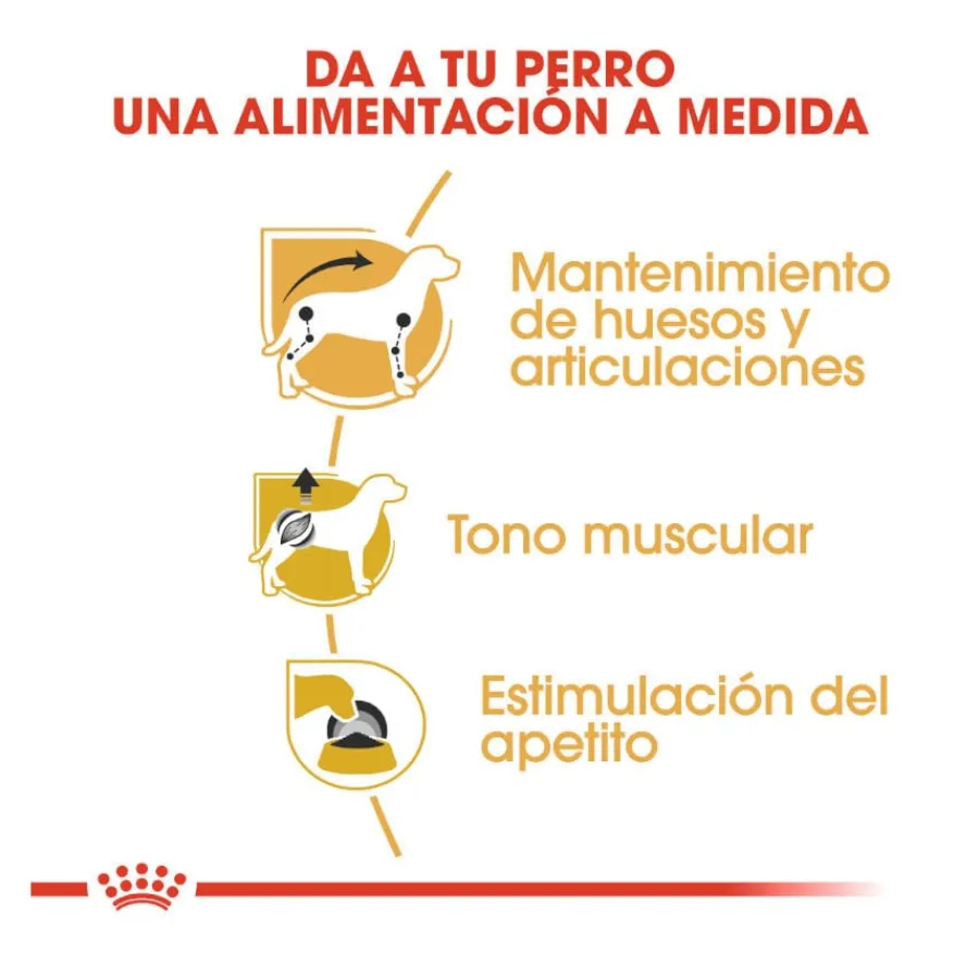 Royal Canin Adult Teckel paté en sobre para perros Discount