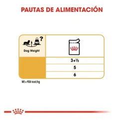 Royal Canin Adult Teckel paté en sobre para perros Discount