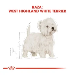 Royal Canin Adult White Terrier West Highland pienso para perros Best