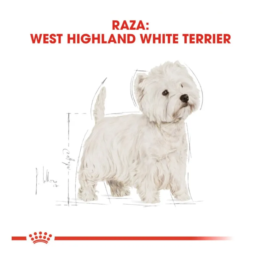 Royal Canin Adult White Terrier West Highland pienso para perros Best