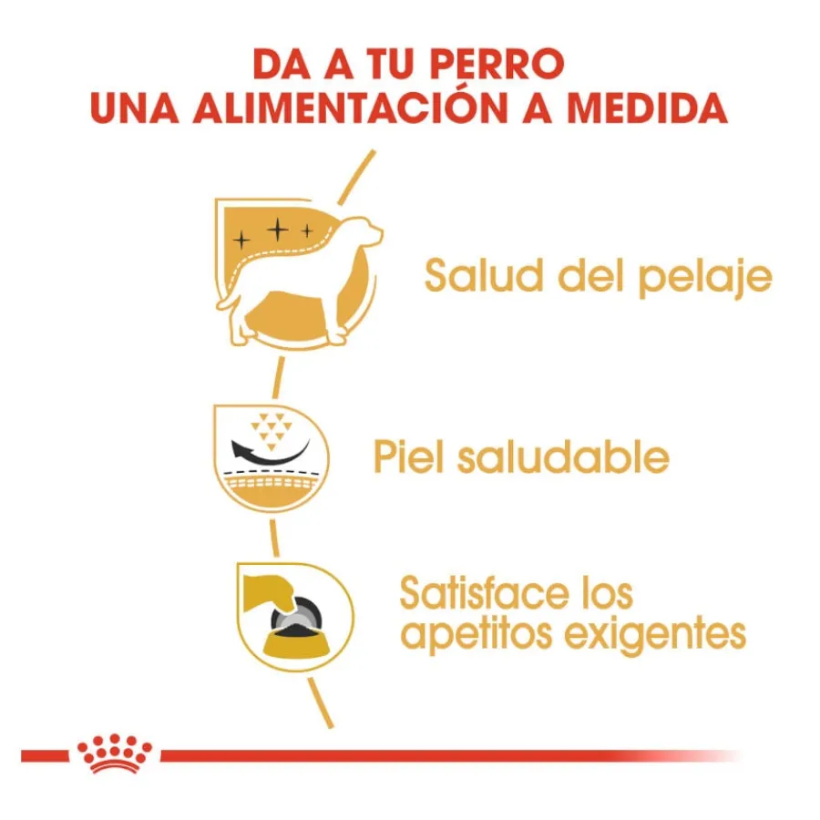 Royal Canin Adult White Terrier West Highland pienso para perros Best