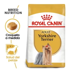 Royal Canin Adult Yorkshire Terrier pienso para perros Sale
