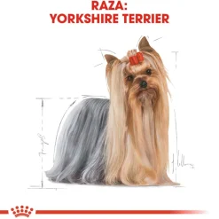 Royal Canin Adult Yorkshire Terrier pienso para perros Sale