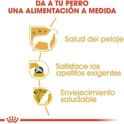 Royal Canin Adult Yorkshire Terrier pienso para perros Sale