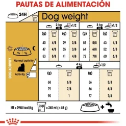 Royal Canin Adult Yorkshire Terrier pienso para perros Sale