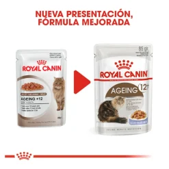 Royal Canin Ageing 12+ gelatina sobres para gatos Discount