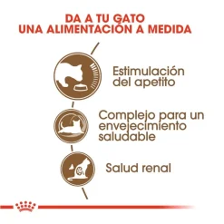 Royal Canin Ageing 12+ pienso para gatos Hot