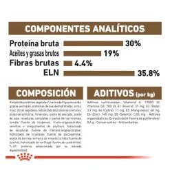 Royal Canin Ageing 12+ pienso para gatos Hot