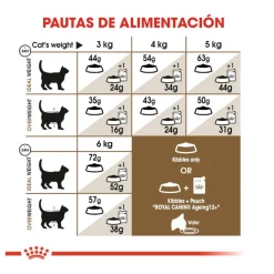 Royal Canin Ageing 12+ pienso para gatos Hot