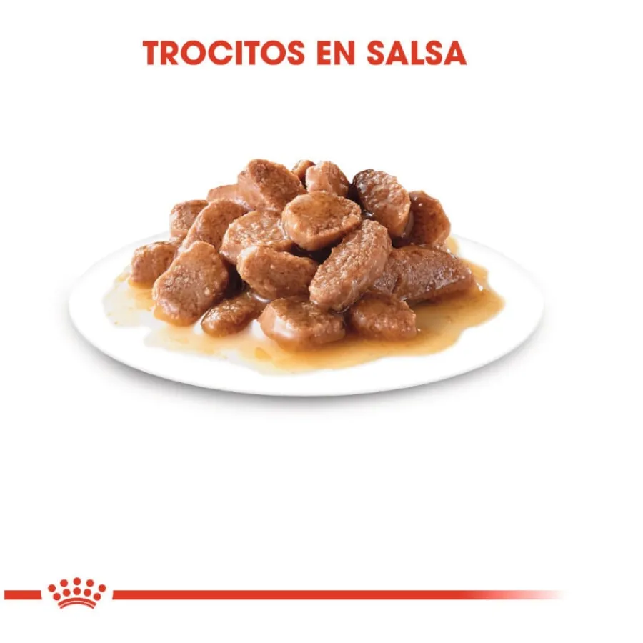 Royal Canin Ageing 12+ sobre en salsa para gatos Best