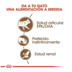 Royal Canin Ageing 12+ sobre en salsa para gatos Best
