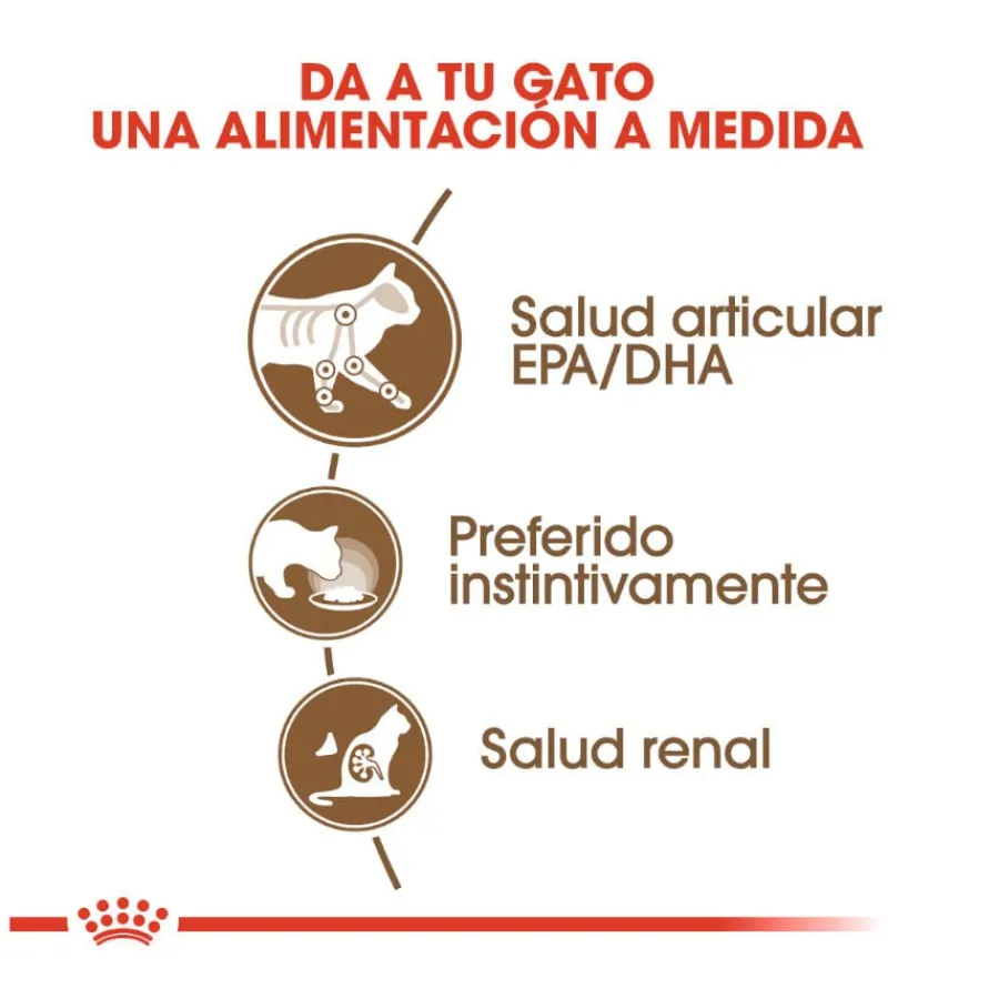 Royal Canin Ageing 12+ sobre en salsa para gatos Best